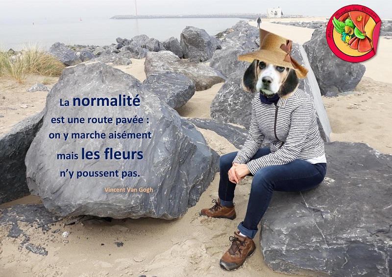 Normalité