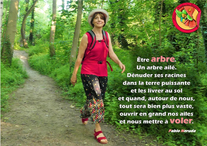 Arbre